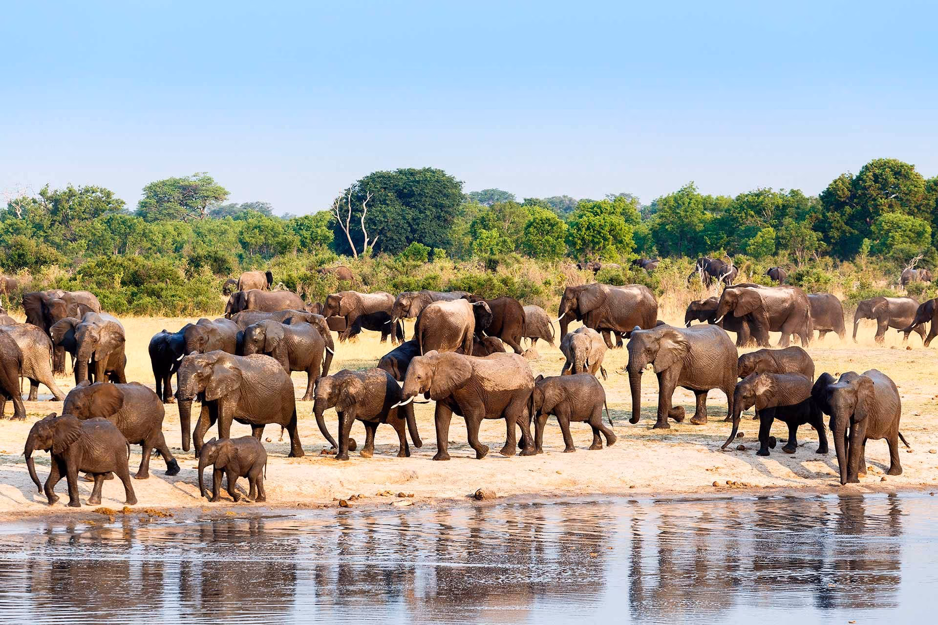 Victoria Falls banda de Caprivi delta do Okavango Maun delta Moremi parque Chobe Kwange e quedas