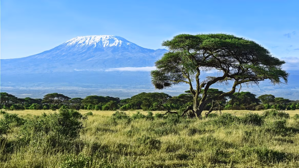 Machame Route : 6 dias / 5 noites na montanha