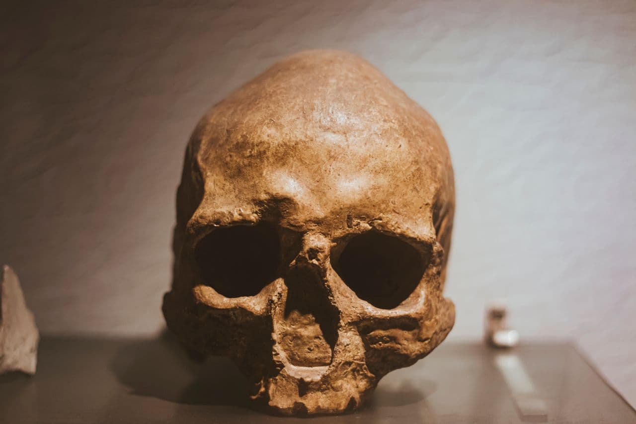 Sítio Arqueológico de Koobi Fora